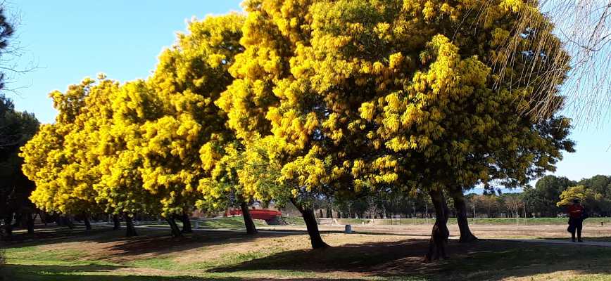 Parc de la Prade