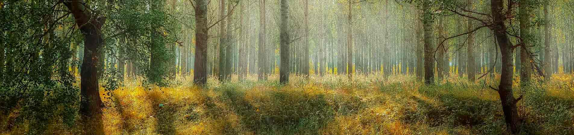 reserve naturelle-nationale du mas-larrieu