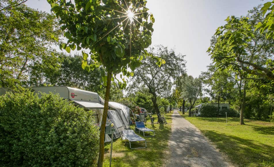 sunny location of camping cala gogo in st cypru