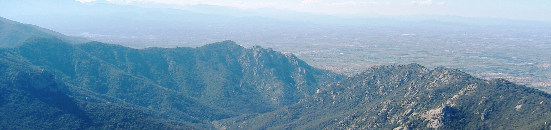 vue panoramique depuis la tour de la massane