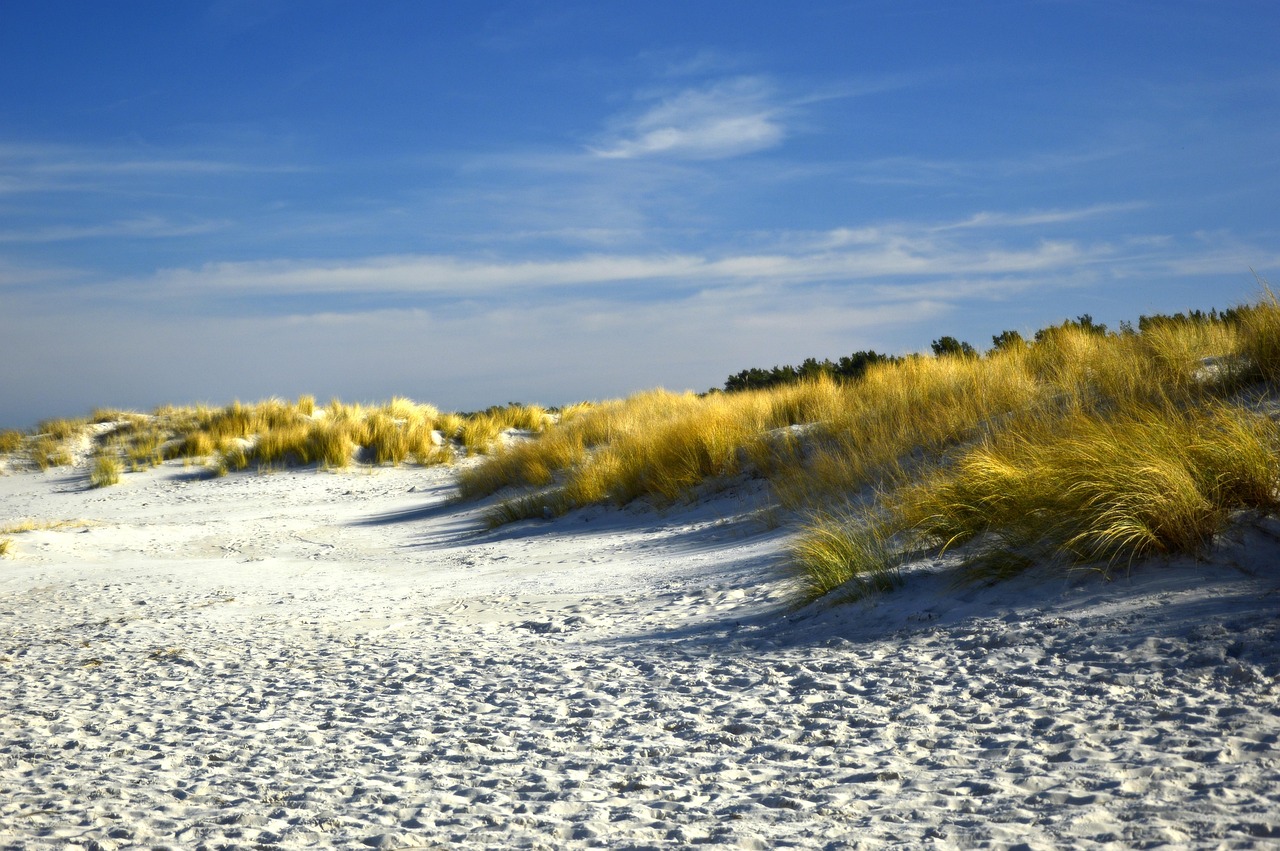Plage près de Saint Cypriens